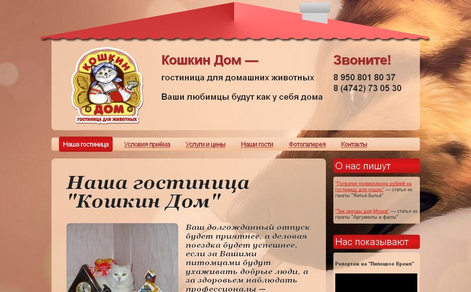 Гостиница для животных «Кошкин дом»